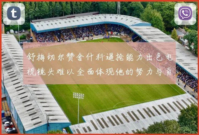 舒梅切尔赞舍什科逼抢能力出色电视镜头难以全面体现他的努力与贡献